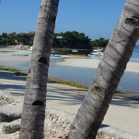 The Shark'S Tail Dive Center Hotel Daanbantayan Ngoại thất bức ảnh