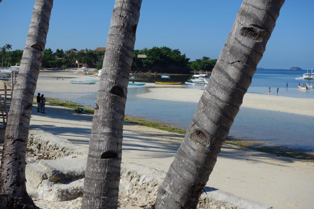 The Shark'S Tail Dive Center Hotel Daanbantayan Ngoại thất bức ảnh