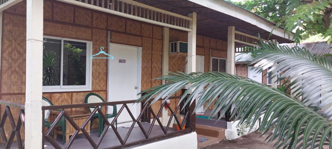 The Shark'S Tail Dive Center Hotel Daanbantayan Ngoại thất bức ảnh