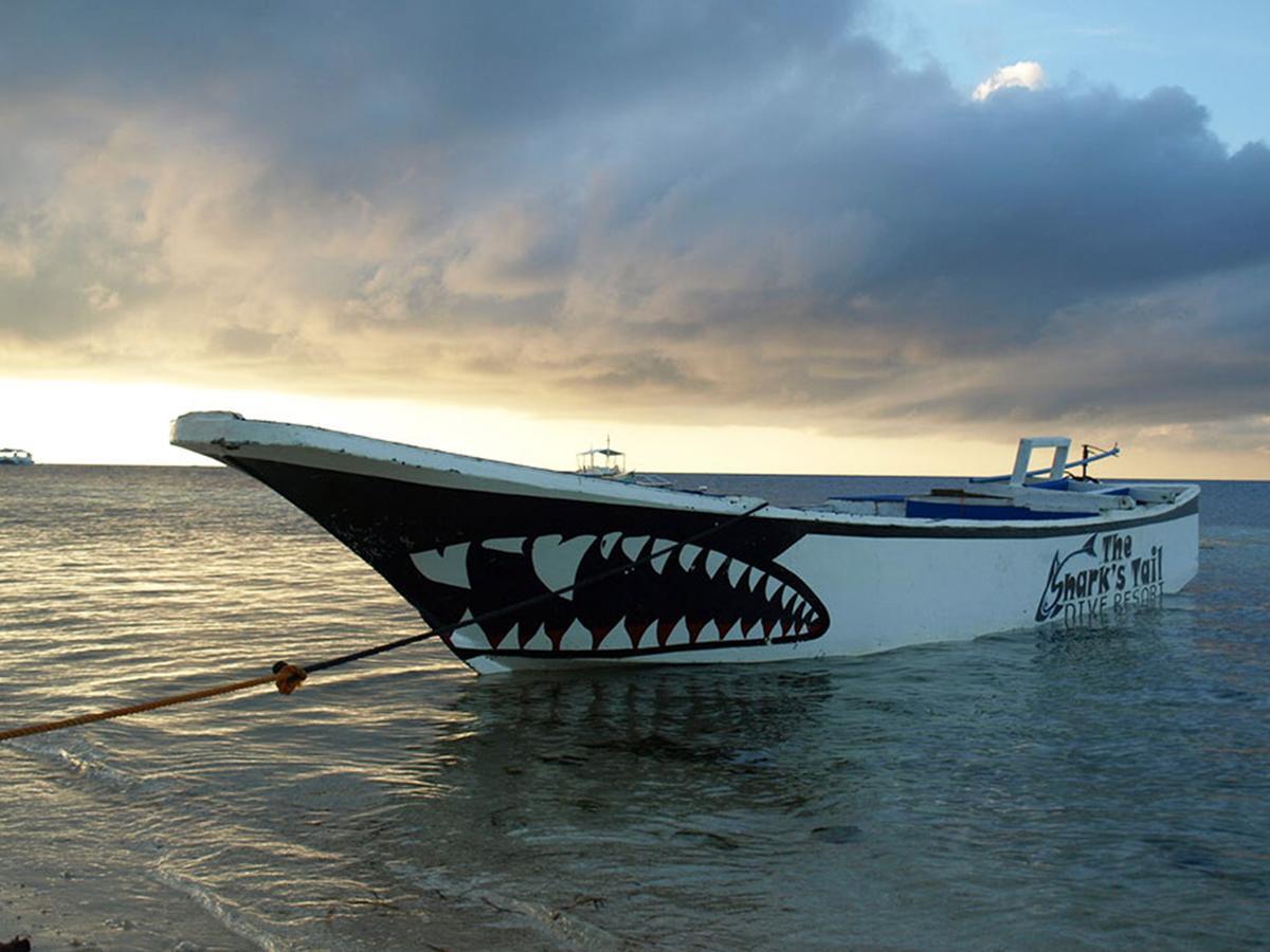 The Shark'S Tail Dive Center Hotel Daanbantayan Ngoại thất bức ảnh