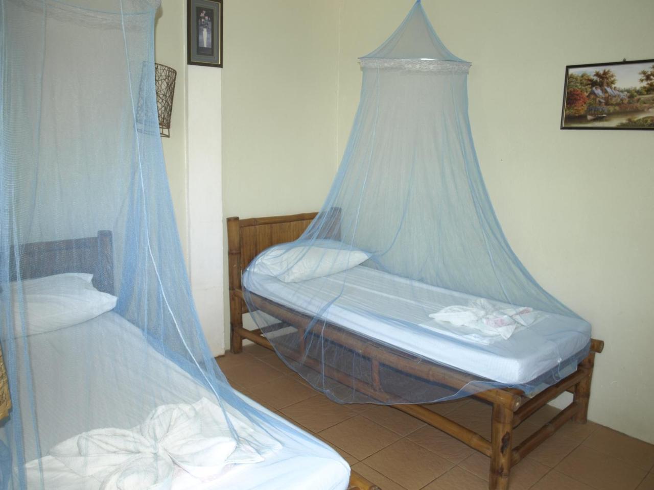 The Shark'S Tail Dive Center Hotel Daanbantayan Ngoại thất bức ảnh